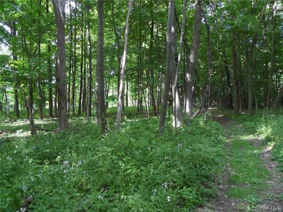 Land For Sale At Henderson Street New Hartford Ny Point