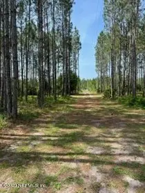 Lots And Land for sale in 1050 JAMES BETHEA Road, Perry, FL, 32348