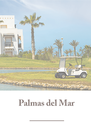 Properties in Palmas del Mar