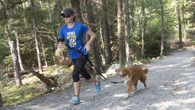 Dog friendly parks in Dartmouth - Shubie off leash park and trails