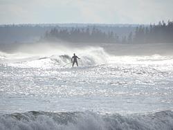 Lawrencetown homes for sale - surfing at Lawrencetown beach - Salt Water Marsh Trail