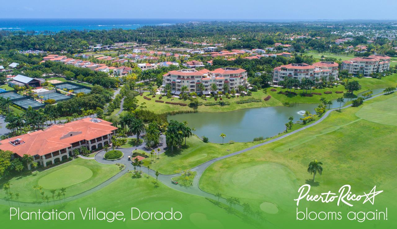 Unique Properties Puerto Rico Plantation Village Aerial