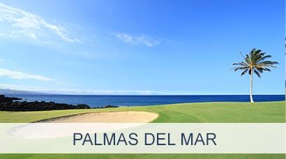 Real Estate in Palmas del Mar
