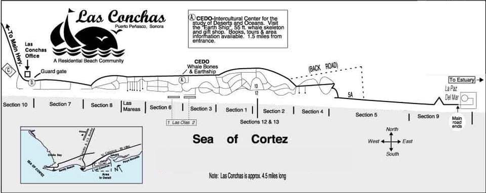 Map Of Rocky Point And It S Different Neighborhoods Las Conchas Sandy Beach Mirador Whale Hill Old Port Eastern Beaches Isla Del Mar Cholla Bay