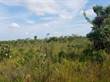 Lots and Land for Sale in Burrel Boom , Belize $63,000