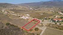 Lots and Land for Sale in Carretera a Celaya, Guanajuato $9,805,000