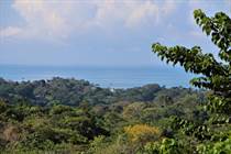 Lots and Land for Sale in Ojochal, Puntarenas $150,000