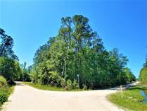 Lots and Land for Sale in Florida, Satsuma, Florida $10,000