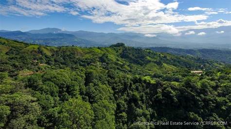 Costa Rica Real Estate - Farms