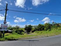 Homes for Sale in Quebrada, Camuy, Puerto Rico $42,000