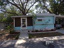 Homes for Sale in East Bay Oaks, Largo, Florida $26,900