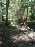 Lots and Land for Sale in Sandy Creek, New York $32,000