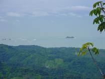 Lots and Land for Sale in Uvita, Puntarenas $250,000