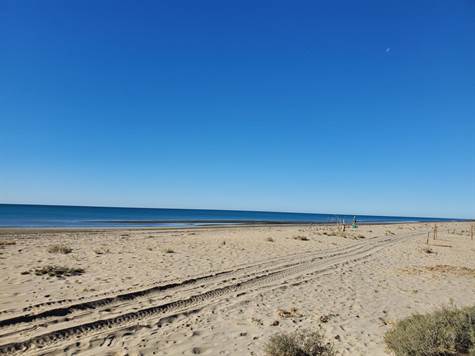 Playa Miramar Beach
