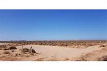 Lots and Land for Sale in In Town, Puerto Penasco/Rocky Point, Sonora $2,515,465