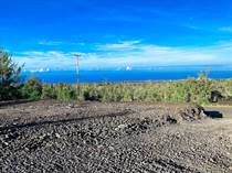Lots and Land for Sale in Hawaii, OCEAN VIEW, Hawaii $50,000