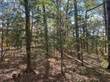 Lots and Land for Sale in Mount Ida, Arkansas $26,000