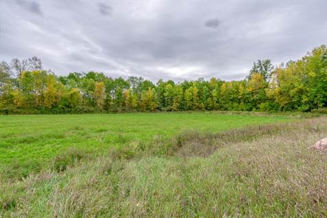 View of Cleared Section of 30 Acres on Howes Road, Frankford