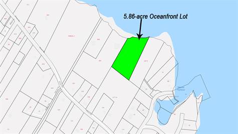 5+ acres Bold Oceanfront Lot