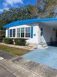 Homes for Sale in Shady Lane Village Mobile Home Park, Clearwater, Florida $45,000