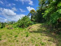 Lots and Land for Sale in Bo. Atalaya, Aguada, Puerto Rico $47,000