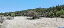 Lots and Land for Sale in New Mexico, Lake Roberts, New Mexico $29,000