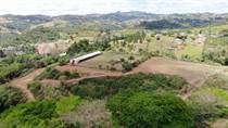 Farms and Acreages for Sale in Bo. Quebradilla, Barranquitas, Puerto Rico $993,000