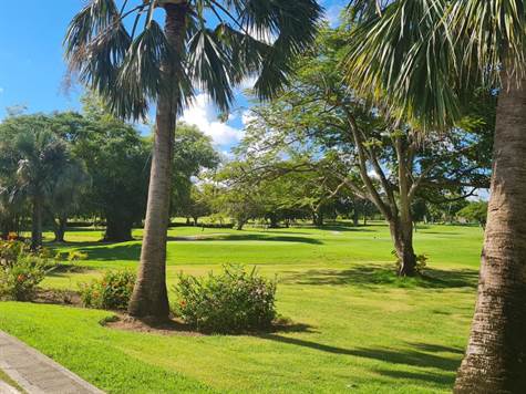 Cocotal Golf course