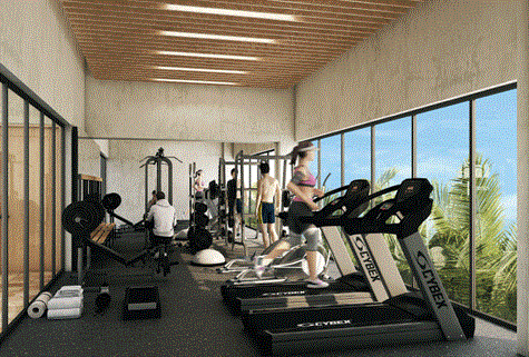 gym - residential lot for sale in Tulum