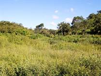 Lots and Land for Sale in Nuevo Colon , Guanacaste $490,000