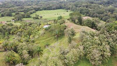 Marvelous Ocean View Farm With Easy Access In Hatillo