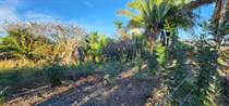 Lots and Land for Sale in Rincon de Guayabitos, Nayarit $245,000
