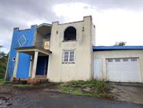 Multifamily Dwellings for Sale in Bo. Barahona, Morovis, Puerto Rico $75,000