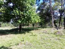 Lots and Land for Sale in Pococi, Limón $530,000