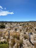 Lots and Land for Sale in Ejido Plan Nacional Agrario, Baja California $1