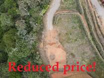 Lots and Land for Sale in Palmares, Alajuela $85,000
