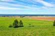 Lots and Land for Sale in Cavendish, Prince Edward Island $179,900