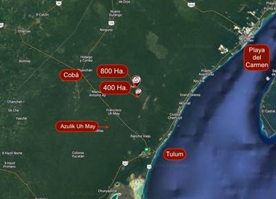 Hectares for sale in the jungle of Tulum., Lot BLTU201, Tulum, Quintana Roo