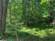 Lots and Land for Sale in Dawsonville, Georgia $96,250