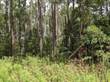 Lots and Land for Sale in Florida, Pinetta (Madison County), Florida $18,500