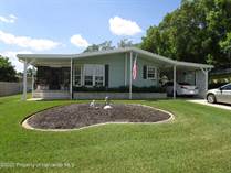 Homes for Sale in Brookridge, Florida $256,000