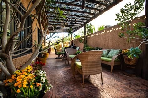 Back patio is perfect for entertaining