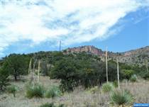 Lots and Land for Sale in New Mexico, Mimbres, New Mexico $22,000