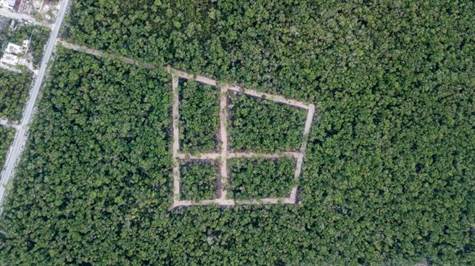 Residential lot for sale in Tulum