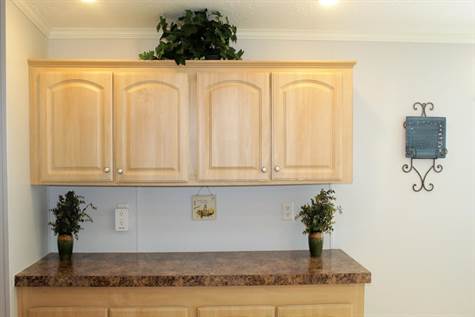 PLENTY OF CABINETS AND COUNTER SPACE