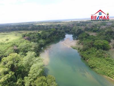 # 4040 - PRISTINE 12-ACRE Property with OVER 1,500 FT of BELIZE RIVER FRONTAGE - Belmopan 