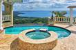 Homes for Sale in Palatine Hills, Rincon , Puerto Rico $9,500,000