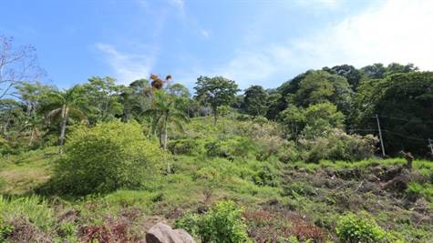 Dominical Real Estate - Land For Sale