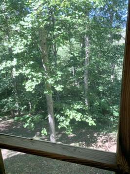 Views from screened porch