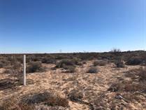 Lots and Land for Sale in Sonora, Puerto Penasco, Sonora $999,000